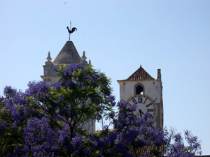 Tavira